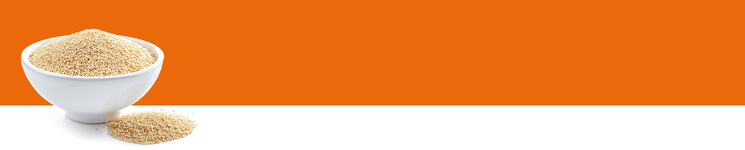 A white bowl filled with a granular substance sits against a bright orange background.