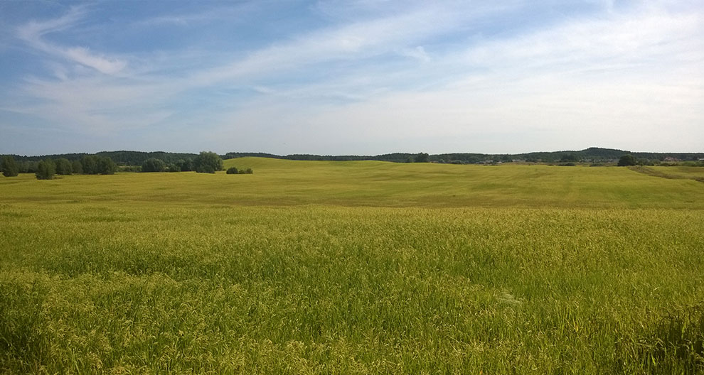 A vast green field under a blue sky with a few clouds.