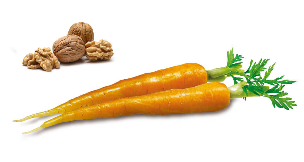 Two carrots with green tops and three walnuts.